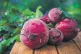 JUST BEET IT: Your favourite purple vegetables pulled from t