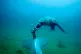 An NMMP ( Navy Marine Mammal Program) sea lion attaches a re