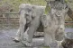 Anne the elephant at Longleat faces an uncertain future