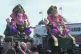 The Ganesha elephants before being taken out to sea