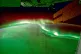 The Northern Lights as seen from space