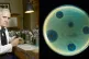 IN THE BEGINNING: Alexander Fleming, in his laboratory at St