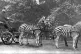 ZIONIST ODDBALL: Rothschild with his famed zebra carriage