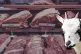 Farmers are using DNA tracing and coded fleece paint, but th