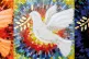 11peacedove