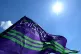Unison flag