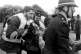 Orgreave