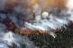 This summer was one of the hottest on record which saw forre
