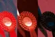 Labour rosette