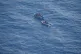 A Maltese Armed Forces Vessel (right) approaches a refugee b