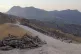 Trees in Behdinan region chopped down and being illegally ta