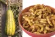 YUMMY: (L to R) Winter squash; Roasted delicata squash. Pic: (L to R) Derek Ramsey (Ram-Man)/Chanticleer Garden/CC and Sarah Stierch/CC