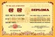 diploma