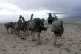 ILLEGAL FROM THE START: British commandos in the south east region of Afghanistan, May 2002