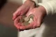 An elderly woman holding pound coins in her hands, in Poole, Dorset