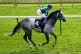 Intinso ridden by Hollie Doyle goes to post ahead of the William Hill Handicap on day three of The QIPCO Guineas Festival at Newmarket Racecourse, Suffolk, May 5, 2024
