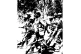 The defunt People's Liberation Army of Namibia on the move in 1984