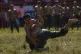 Young wrestlers compete during the 664th annual Historic Kirkpinar Oil Wrestling championship, in Edirne, northwestern Turkey, Sunday, July 6, 2025