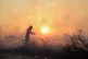 A firefighter tries to extinguish a wildfire as a helicopter flies, in the northwestern suburb of Kryoneri, in Athens, Greece, July 26, 2025