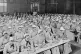 GUILTY OF POVERTY: Dinner time in St Pancras Workhouse, London, October 2011 / Pic: Unknown/CC