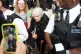 HEAVY HANDED: The law does not have an age limit, the head of the Metropolitan Police Commissioner Sir Mark Rowley said after an 83-year-old reverend Sue Parfitt was arrested at a protest in support of Palestine Action organised by the Defend Our Juries group on July 5