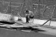 The horror of the Hillsborough disaster is too much for a young Liverpool fan, April 15, 1989