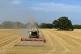 A farmer harvesting the last of his wheat crop