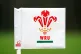 A corner flag featuring the Welsh Rugby Union logo