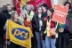 PCS picket