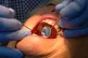 A dentist checking condition of a patient's teeth
