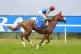 Humidity ridden by James Doyle goes to post during Goodwood Cup day at Goodwood Racecourse, Chichester, July 29, 2025