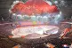 This photo provided by North Korean government shows the ceremony marking the 80th anniversary of the founding of the ruling Worker's Party, in Pyongyang, North Korea, October 9, 2025