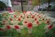 RITUALS: Wooden crosses with poppies and names of those being remembered at the Cenotaph in Victoria Square, St Helens, Merseyside
