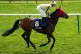 Adjuvant ridden by Hector Crouch goes to post ahead of the Handicap on day three of The QIPCO Guineas Festival at Newmarket Racecourse, Suffolk, May 5, 2024