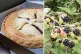 Blackberry pie and bush / Pics: (L to R) Steven Pavlov/CC; Pic: Fir0002/CC