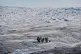 Danish military forces participate in an exercise with hundreds of troops from several European NATO members in Kangerlussuaq, Greenland, September 17, 2025