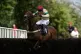 Twig ridden by Beau Morgan before winning the Summer Cup Handicap Chase at Uttoxeter Racecourse, July 2, 2023