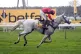 Grey Dawning ridden by jockey Harry Skelton on the way to winning the Betfair Chase during Betfair Chase Day at Haydock Park Racecourse, November 22, 2025