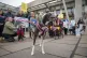 Former racing greyhounds with their owners and members from Unbound the Greyhound Coalition outside the Scottish Parliament in Edinburgh ahead of a bill being officially lodged to ban greyhound racing in Scotland, April 23, 2025