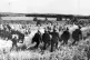 Police in anti-riot gear escorting picketers away from their position near the Orgreave Coking Plant near Rotherham, June 18, 1984
