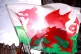 A Welsh flag before the Six Nations match at the Principality Stadium, Cardiff, February 2020