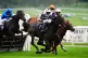Dargiannini ridden by Paul O'Brien on their way to winning the Bagley and Rylance 80th Celebration Handicap Hurdle at Uttoxeter racecourse, October 17, 2025