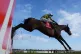 Majborough ridden by Mark Walsh jumps the last to go on to win the Ladbrokes Dublin Chase at Leopardstown Racecourse, February 1, 2026