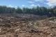 A general view of around 30,000 tonnes of household waste dumped across an area the size of a football pitch at the Cave's Inn Pits Site of Special Scientific Interest, near the village of Shawell in Leicestershire, April 29, 2026 [Pic: Stephanie Wareham/PA Wire]