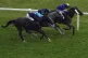 Almuhit ridden by jockey Cam Hardie (right) on the way to winning the Back The Super Boost At BetVictor Handicap at Newbury Racecourse, July 19, 2025