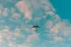 Philip Myrtorp / Creative Commons