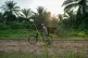 A man carries wood on his bicycle as he rides past a cemetery in Beni, Congo, July 16, 2019