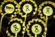 SNP rosettes 