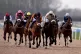 Apiarist ridden by Robert Havlin (centre right) on their way to winning the Win 1M With BetMGM's Golden Goals Handicap at Southwell Racecourse, February 14, 2025