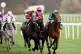 Langstone, ridden by Rob Hornby, on their way to winning the Stonehouse Travel Agents Barnsley Novice Stakes at Doncaster Racecourse, March 29, 2026
